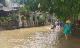 Mưa lũ ở Phú Yên: Một người mất tích, hàng trăm ngôi nhà bị ngập