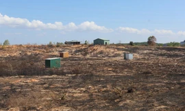 Sở TN&MT Bình Thuận bị kiện ra tòa vì cấp sổ đỏ cho doanh nghiệp trên đất khai hoang của dân