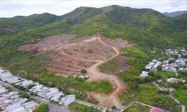 Dự án khu biệt thự hướng biển ở Nha Trang làm trên đất rừng, không có trong quy hoạch