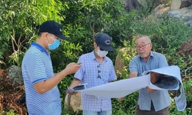 Toà cấp cao sắp xử vụ công dân kiện Chủ tịch Khánh Hoà