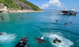 Khánh Hòa tạm dừng du lịch lặn biển để cứu san hô ở Hòn Mun