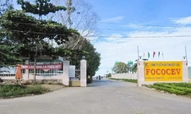 Công ty tinh bột sắn bị xử phạt gần 3,4 tỷ đồng vì gây ô nhiễm môi trường