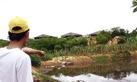 Trại heo tra tấn hàng trăm hộ dân