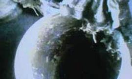 Bé gái 16 tháng tử vong trong thùng nước