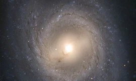 Phát hiện siêu tân tinh mới