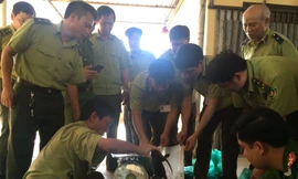 Lực lượng chức năng kiểm đếm hàng hoá không giấy tờ.