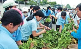 Nỗi lòng những người không muốn có Tết