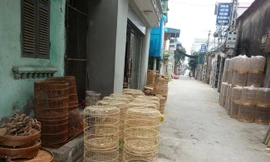 Thất nghiệp, làm lồng chim kiếm 20 triệu đồng/tháng