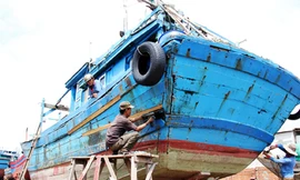 Sống lại những con tàu sau bão