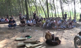 Đánh bạc trong vườn cao su, hàng chục 'con bạc' bị bắt giữ