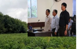 Cựu Giám đốc sở Tài nguyên Bình Dương gây thiệt hại hàng trăm tỷ đồng