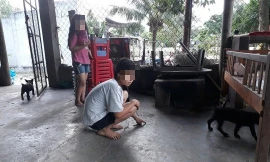 Khởi tố vụ người phụ nữ tử vong khi làm việc với đoàn liên ngành