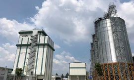 Bình Dương có nhà máy thức ăn chăn nuôi thông minh 28 triệu USD