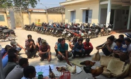 Phá tụ điểm đánh bạc trong vườn cao su