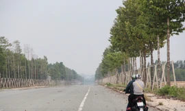 Xử lý tình trạng doanh nghiệp 'om' sổ đỏ của khách hàng