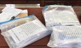 Tạm giữ 2 đối tượng kích động biểu tình trái phép