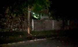Tông vào gốc cây bên đường, 2 công nhân tử vong