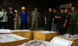 Phát hiện xe khách chở hàng tấn thịt mèo thối 