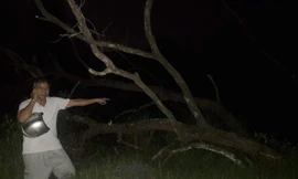 Người đang ông mang xe cẩu trộm cây gỗ trắc 50 năm tuổi