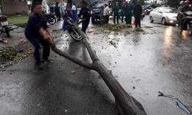 Gió lốc gãy cành cây đè xe máy, người đàn ông thoát chết