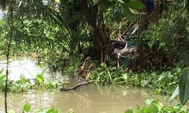 Khu vực tìm thấy thi thể nạn nhân