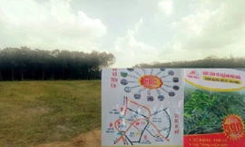 Tự vẽ dự án rồi 'bắt tay nhau' phân lô bán nền rầm rộ