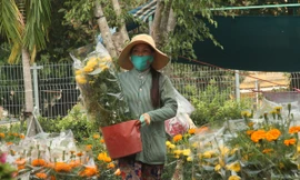 Nhọc nhằn mưu sinh ngày cận Tết