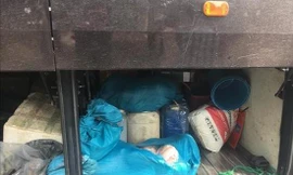 Tạm giữ xe khách chở hơn 5 tạ thịt thối trên đường đi tiêu thụ