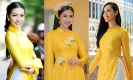 Top 3 HHVN 2010: Ngọc Hân thành nhà thiết kế nổi tiếng, Á hậu Hoàng My chu du khắp thế giới