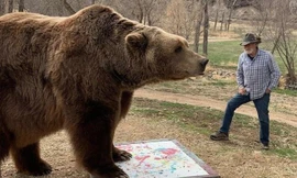 Chú gấu trong phim "Trò chơi vương quyền" qua đời ở tuổi 21