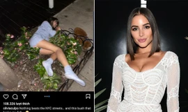 Hoa hậu Hoàn vũ Olivia Culpo gây sốc khi lộ ảnh say xỉn, ngã bụi cây ven đường