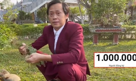 Không phải ai khác, nghệ sĩ Hoài Linh mới là "ông trùm" mạng xã hội của V-Biz!