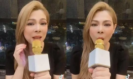 Sau lần cover hit của Hiền Hồ, Thanh Thảo lại gây tranh cãi khi bắt trend "Chị Ong Nâu"