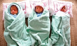 Ca sinh ba cùng trứng hiếm gặp tại Nghệ An