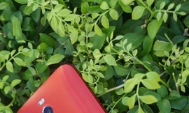 Trên tay Asus ZenFone 2 trước giờ ra mắt