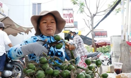 Lặng lẽ chợ trầu cau độc nhất giữa lòng Sài Gòn
