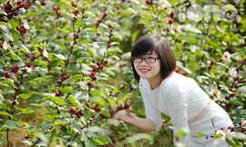 Giới trẻ đổ xô chụp ảnh cùng hoa lạ