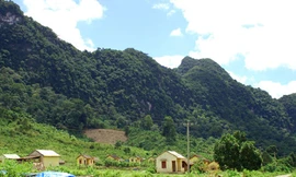 Kiểm lâm ứng phó thiếu chuyên nghiệp nên bị lâm tặc bắt