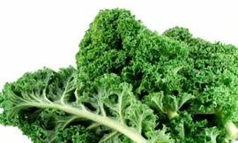 Cải xoăn – Rau xanh bổ dưỡng cho sức khỏe của bạn