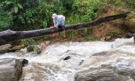 Thót tim cảnh thầy cô vùng cao Quảng Nam bám thân cây vượt suối đến lớp
