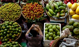 Quầy bán hoa quả trên phố. Ảnh: Bloomberg. 