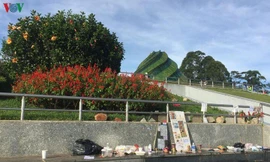 Ðà Lạt bắt đầu phạt nguội hành vi vứt rác bừa bãi 