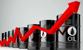 Giá dầu tiếp tục tăng khi OPEC 'bình chân như vại'