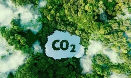 Lộ trình để Việt Nam bán tín chỉ carbon ra thế giới 