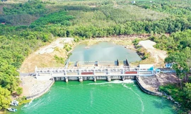 Xâm nhập mặn bủa vây, Long An đề nghị xả nước hồ Dầu Tiếng về sông Vàm Cỏ Đông