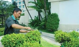 Đầu tư hơn 200 tỷ đồng cho 114 dự án cây xanh