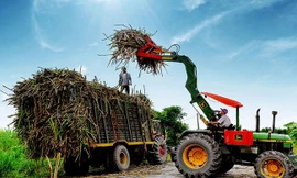 Đường mía 'rửa nguồn' vào Việt Nam né thuế