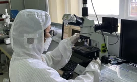  Với nhiều ngành nghề, máy móc sẽ thay thế con người Ảnh: Diệp An