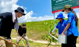 Trồng cây phủ xanh rừng phòng hộ 