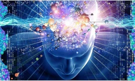 1001 thắc mắc: Bạn có phải là người có giác quan thứ 6?